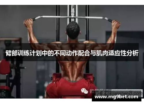 臂部训练计划中的不同动作配合与肌肉适应性分析
